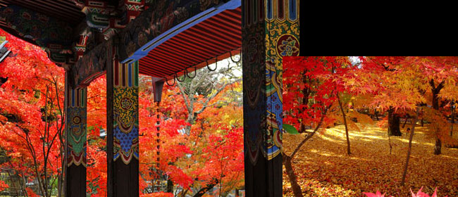 京都洛北禅林寺-永観堂