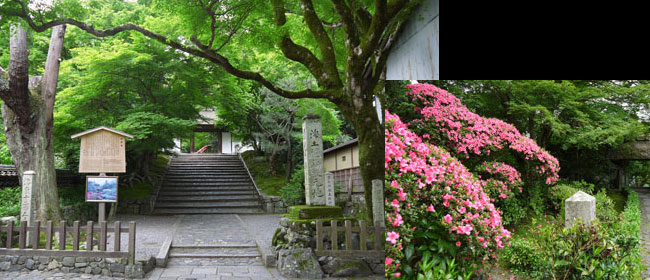 京都洛東安楽寺