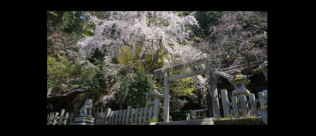 京都洛東大豊神社