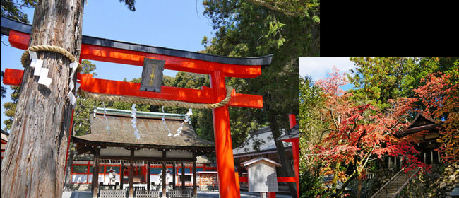 京都洛北吉田神社