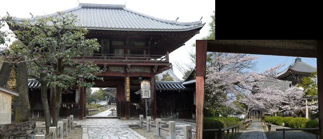 京都洛中本法寺