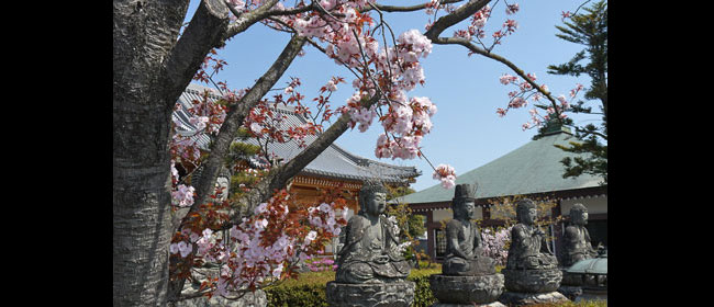 京都洛西蓮華寺