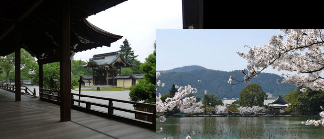 京都洛西大覚寺