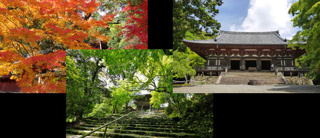 京都洛西神護寺